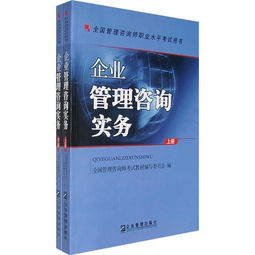 企业管理咨询实务 全国管理咨询师职业水平考试用书 上下册